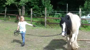 Gästehaus Bommelsen - FEWO 1
