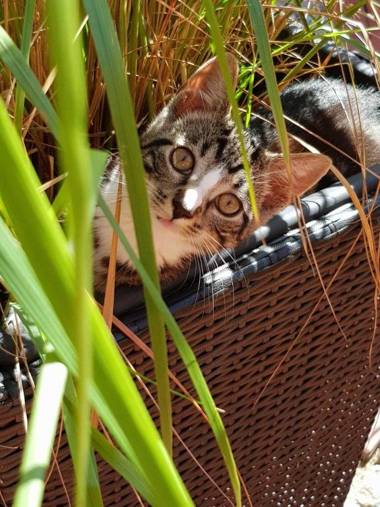 Gästehaus Bommelsen - Zi 4