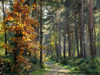 Ferienwohnungen Göstl