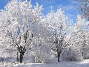 Ferienwohnungen Göstl