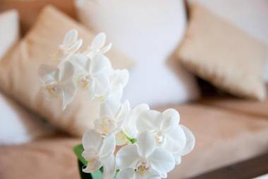 Ferienwohnungen Koller