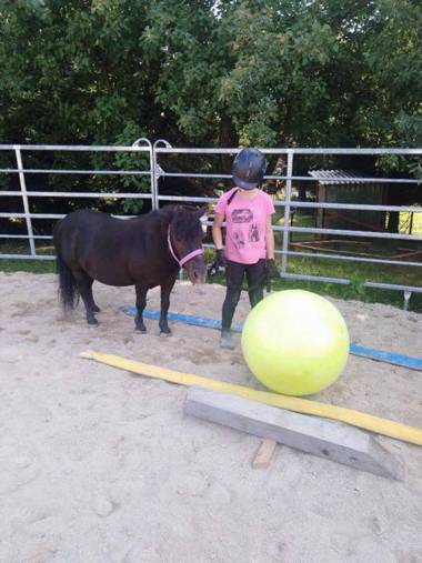 Ferienwohnnung Sternhof (Bauernhof)