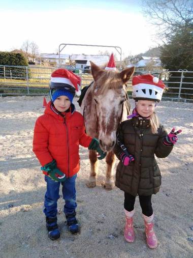 Ferienwohnnung Sternhof (Bauernhof)