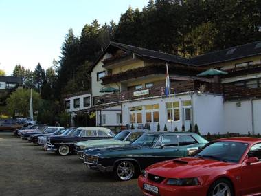 Hotel Finkenberg