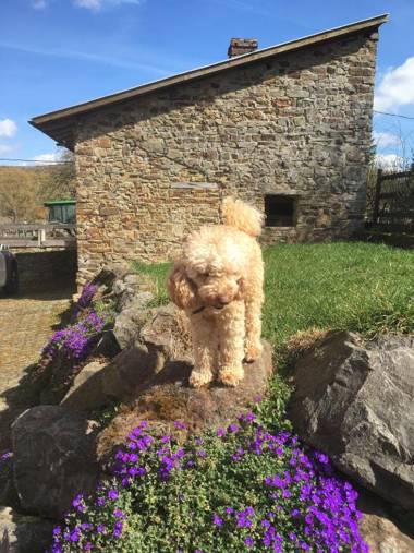 Ferienwohnung Schlössershof