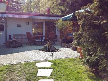Holiday home in the beautiful Harz region with wood stove large terrace barbecue and fire pit