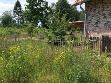 Bispinger-Heidezauber