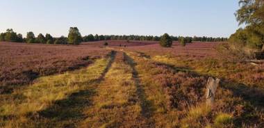 Ferienwohnungen Zum Hülsenbusch