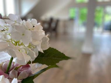 Ferienwohnung Köhler