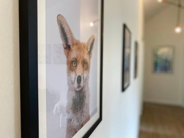 Ferienwohnung Köhler