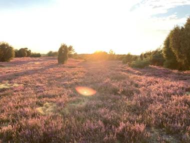 Ferienwohnung Köhler