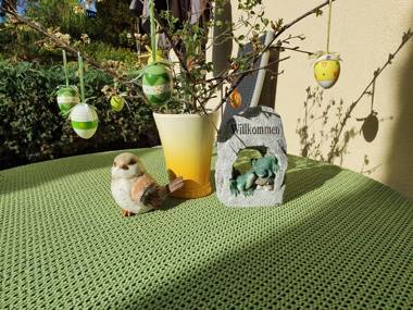 Ferienwohnung Sonnenblick