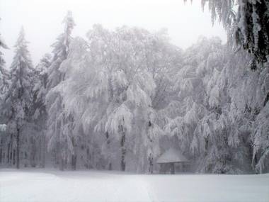 Ferienwohnungen Irene Konstandin
