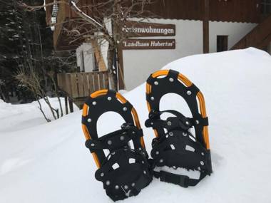 Ferienwohnung Hubertus