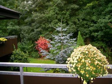 Waldpension Bielefeld