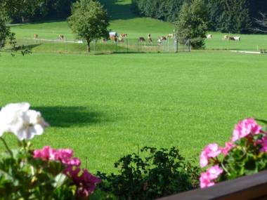 Ferienwohnungen Edmeier