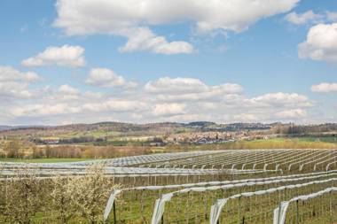 Ferienhof Dachsberg Maisonette