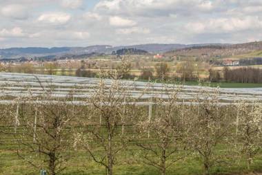 Ferienhof Dachsberg Maisonette