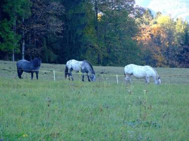 Ferienwohnung im Lehnhäusl