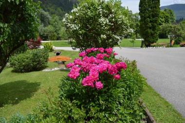 Ferienwohnungen Kilianmühle