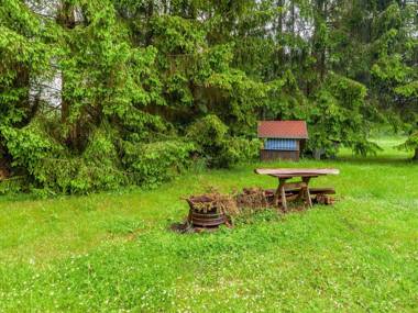 Spacious Apartment in Benneckenstein with Garden Barbeque