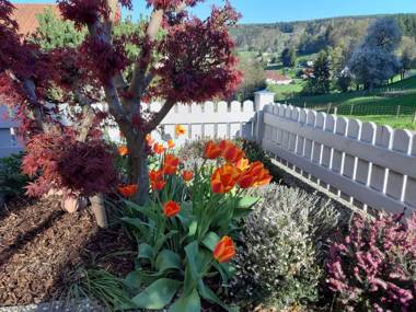 Ferienwohnung Haus Sommerberg