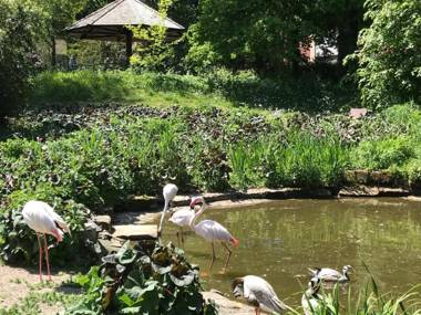 Ferienhaus am Park am Röhrensee