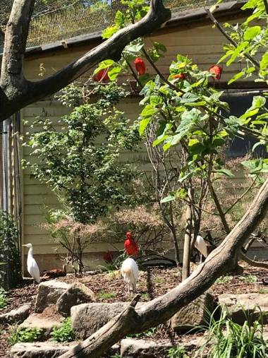 Ferienhaus am Park am Röhrensee