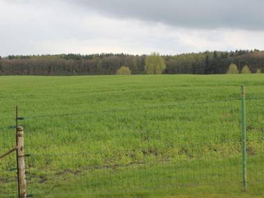 Sunlit Holiday Home with Fenced Garden in Bastorf