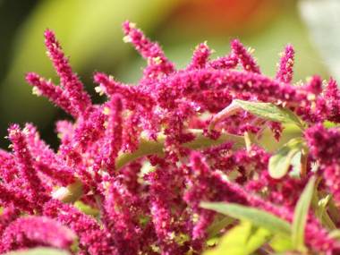 Comfortable apartment in a quiet location