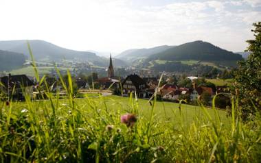 Panoramahotel Berghof