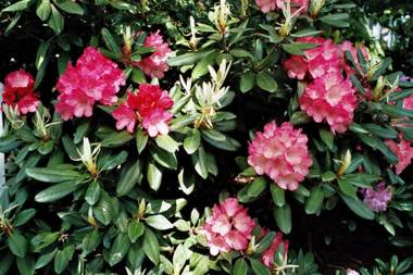 Appartementhaus Dr Domberg Wohnung 3