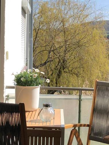 Fewo BELVEDERE- R-Auszeit in Bad Wildungen mit eigener Sauna