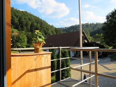 Large holiday home in Kellerwald-Edersee National Park with balcony and terrace