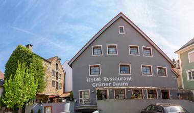 Hotel Restaurant Grüner Baum und Altes Tor