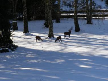 Haus Katharina Hotel garni