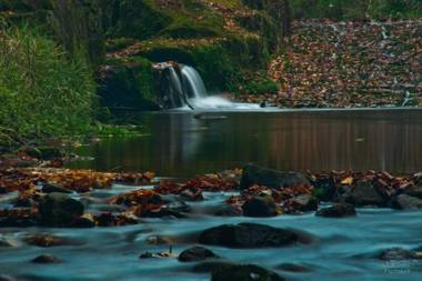 Pension Fuhrmann's Elb- Café