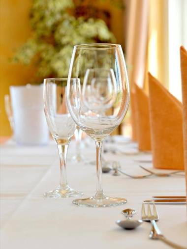 Panorama Hotel am Frankenstein