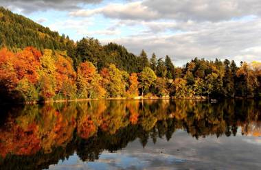 Sapia Hotel Rheinsberg