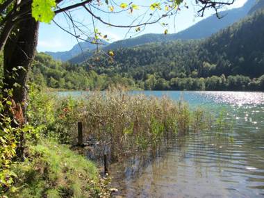 Hotel Pension Hubertus