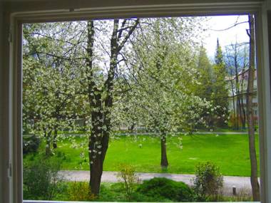 Ferienwohnung am Ortenaupark