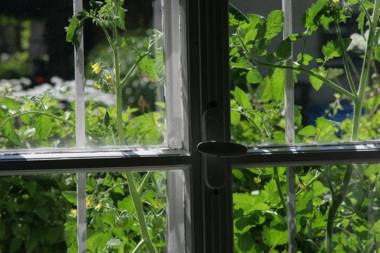 Ferienwohnung Wagnerhaus