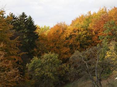 Charming Holiday Home in Eichenborn with Terrace