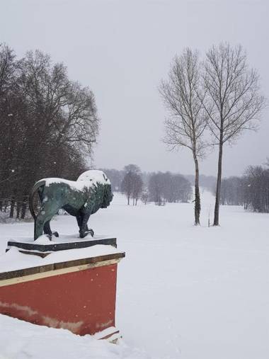 Ferienwohnungen Stricker