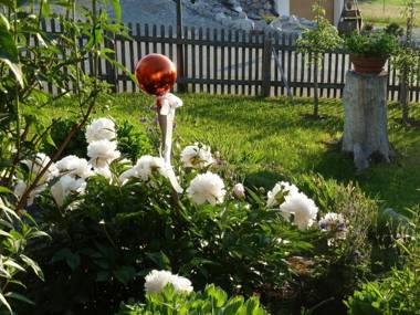 Ferienwohnung Panorama