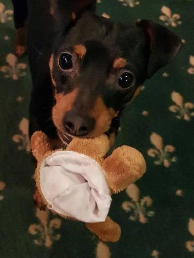 Hotel Gluck Auf & Burgerkeller