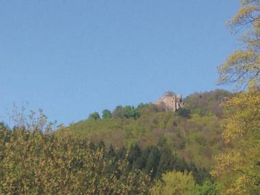 Appartementhaus Dr. Vetter