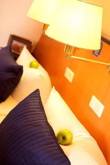 Rheinhotel Vier Jahreszeiten