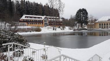 Parkhotel Bad Brambach