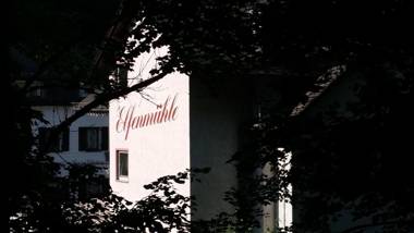 Hotel Elfenmühle